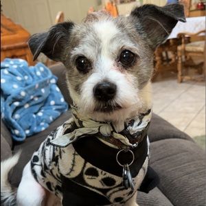 Meet your Posher, Angelina